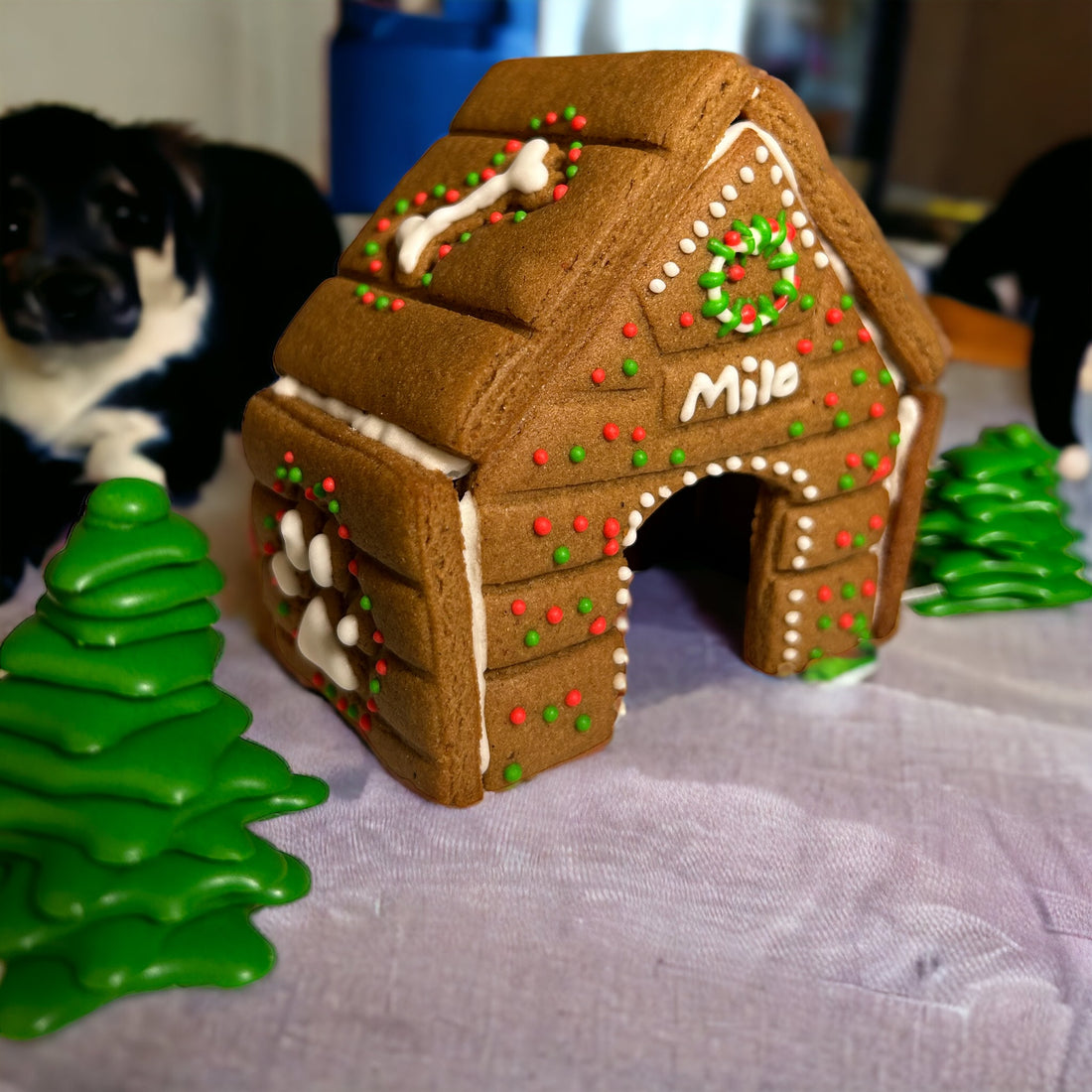 Gluten free Christmas gingerbread dog house recipe